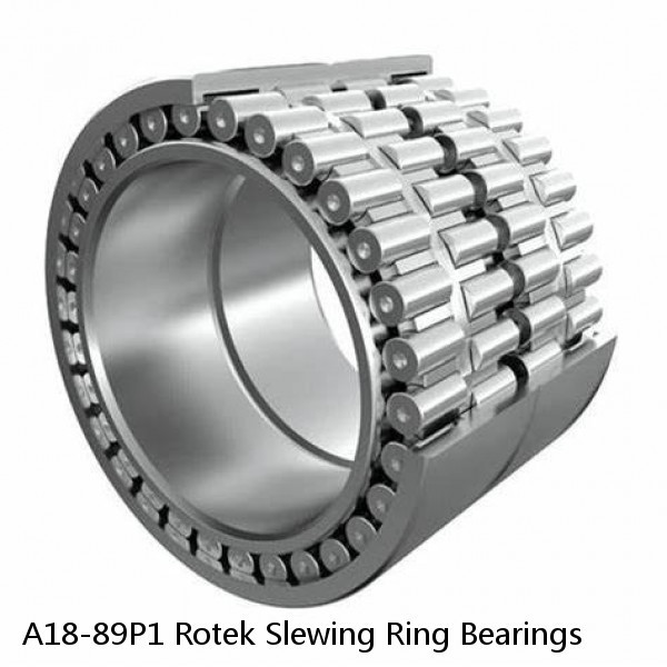 A18-89P1 Rotek Slewing Ring Bearings #1 image