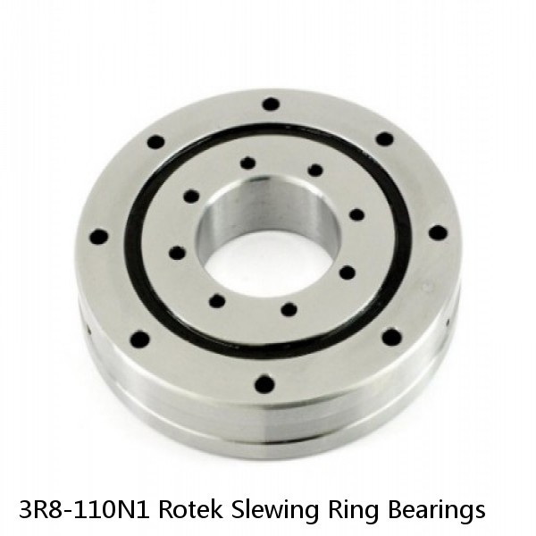 3R8-110N1 Rotek Slewing Ring Bearings #1 image