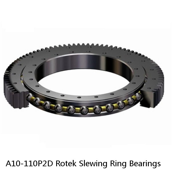 A10-110P2D Rotek Slewing Ring Bearings #1 image