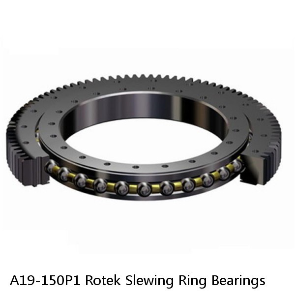 A19-150P1 Rotek Slewing Ring Bearings #1 image