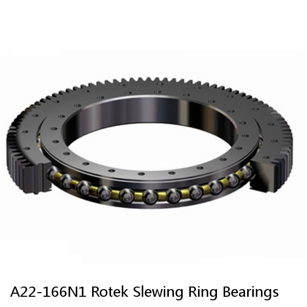 A22-166N1 Rotek Slewing Ring Bearings #1 image