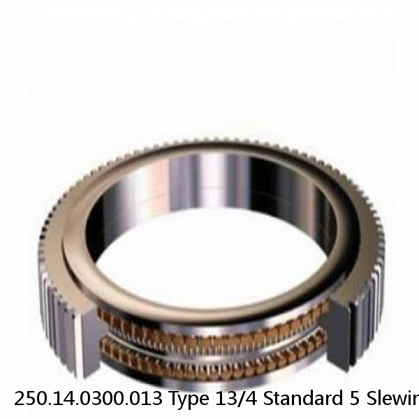 250.14.0300.013 Type 13/4 Standard 5 Slewing Ring Bearings #1 image