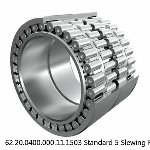 62.20.0400.000.11.1503 Standard 5 Slewing Ring Bearings #1 image