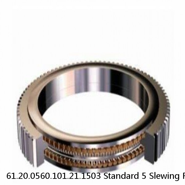 61.20.0560.101.21.1503 Standard 5 Slewing Ring Bearings #1 image