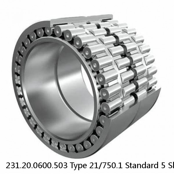 231.20.0600.503 Type 21/750.1 Standard 5 Slewing Ring Bearings #1 image