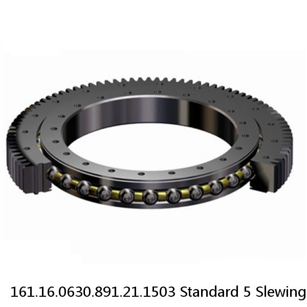 161.16.0630.891.21.1503 Standard 5 Slewing Ring Bearings #1 image