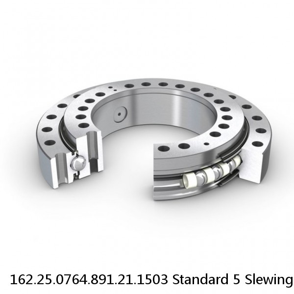 162.25.0764.891.21.1503 Standard 5 Slewing Ring Bearings #1 image