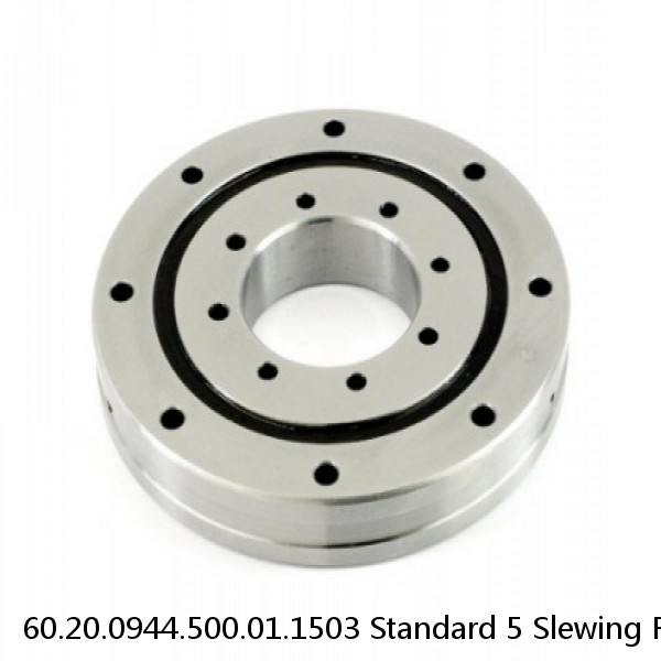 60.20.0944.500.01.1503 Standard 5 Slewing Ring Bearings #1 image