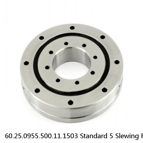 60.25.0955.500.11.1503 Standard 5 Slewing Ring Bearings #1 image