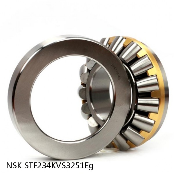 STF234KVS3251Eg NSK Four-Row Tapered Roller Bearing #1 image