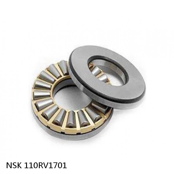 110RV1701 NSK Four-Row Cylindrical Roller Bearing #1 image