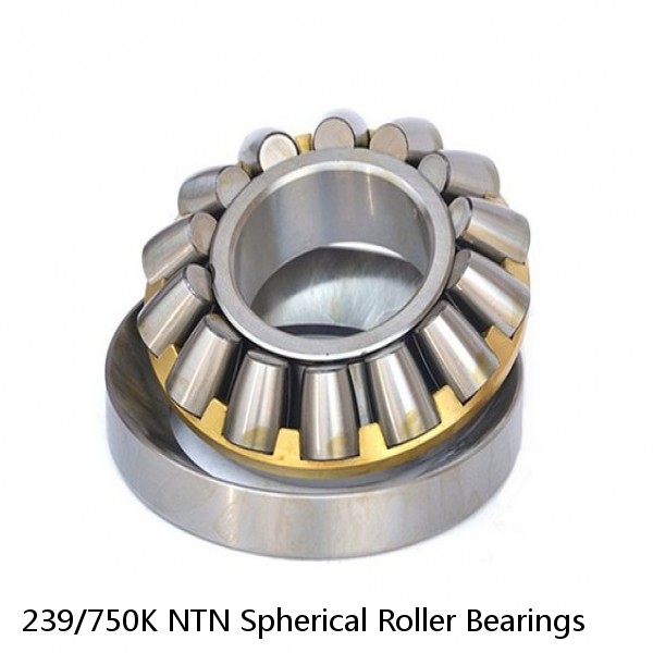 239/750K NTN Spherical Roller Bearings #1 image