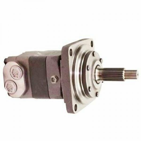 ASV 0700-217 Reman Hydraulic Final Drive Motor #1 image