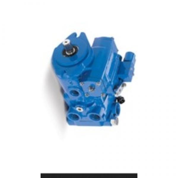 JCB 1105 Reman Hiflow Hydraulic Final Drive Motor #1 image